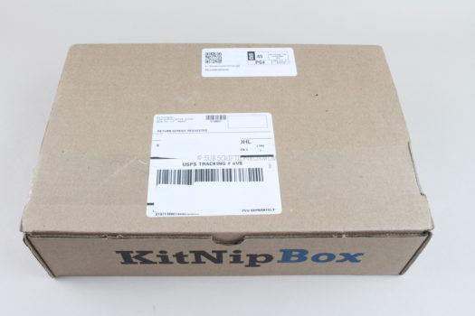 KitNipBox November 2020 Cat Subscription Box Review