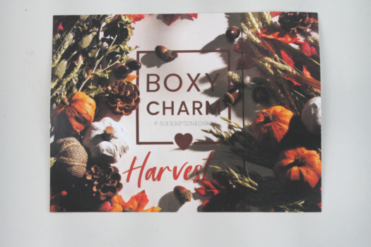 Boxycharm November 2020 Base Box Review