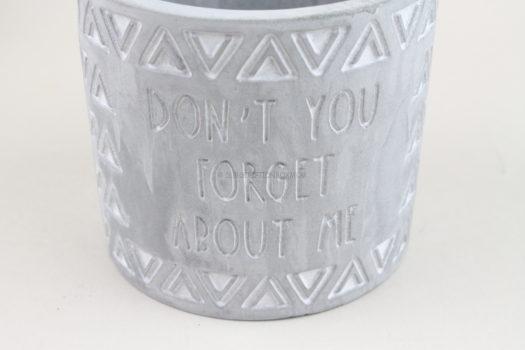 Don’t You Forget About Me Planter By Smartass & Sass