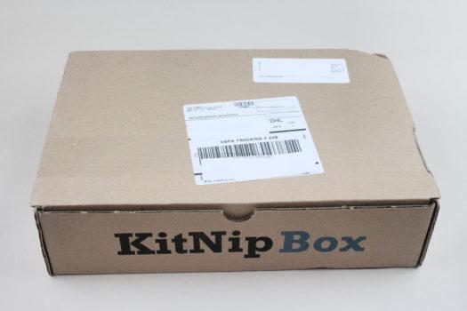 KitNipBox January 2021 Cat Box Review