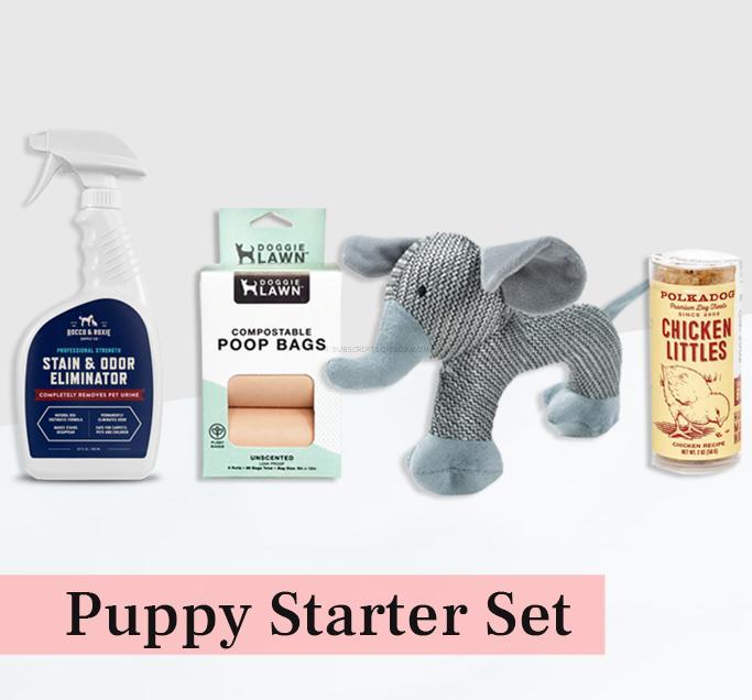 DoggieLawn Puppy Starter Set