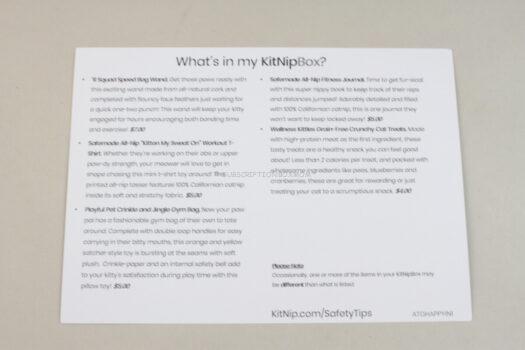 KitNipBox April 2021 Cat Box Review