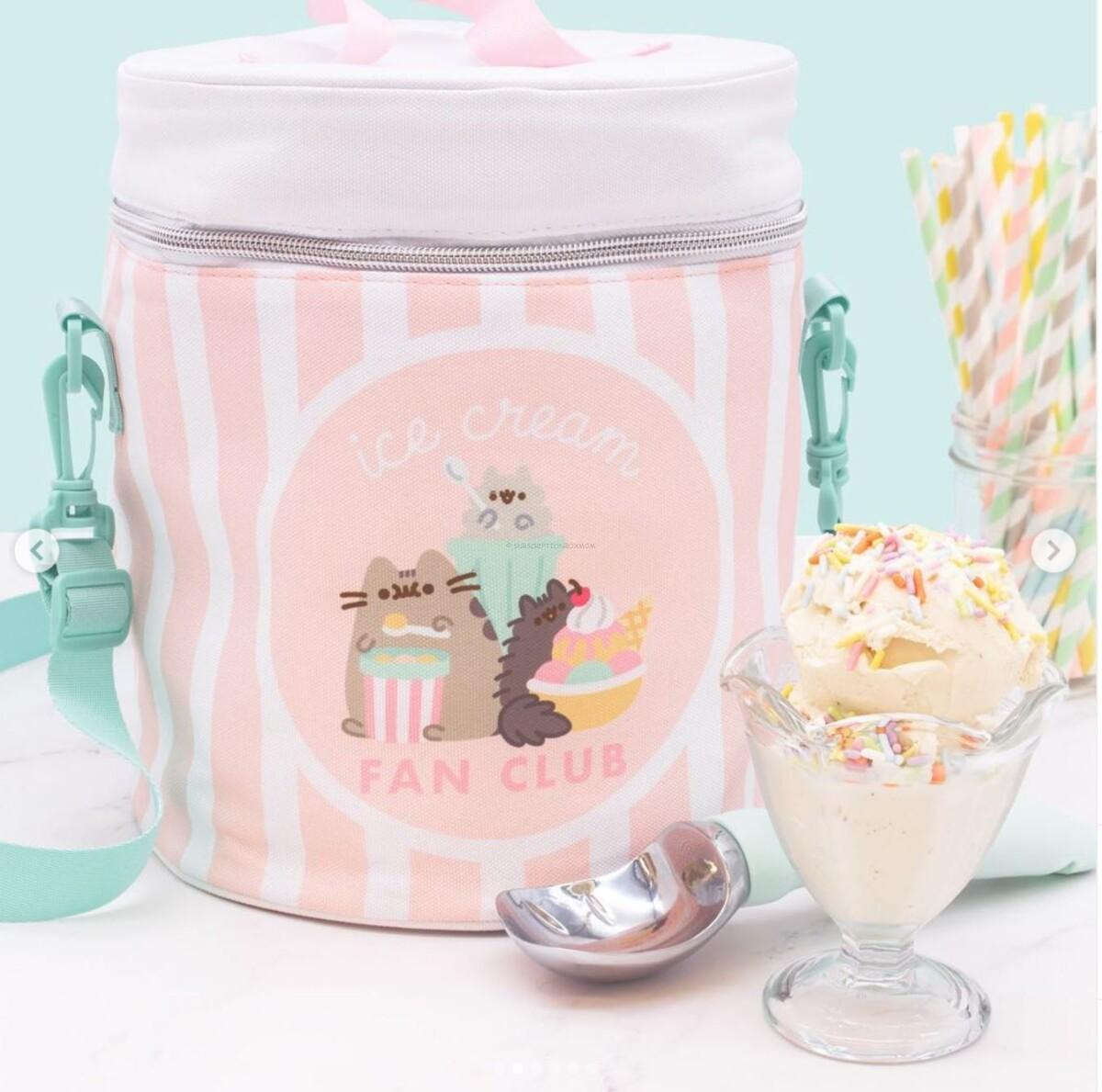 Ice Cream Cooler Bag