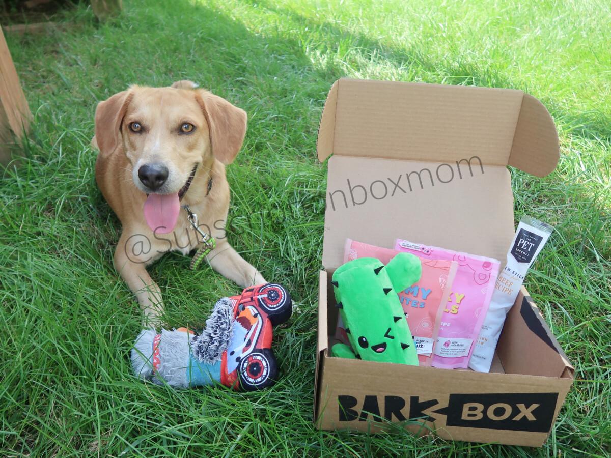 BarkBox August 2021 Review
