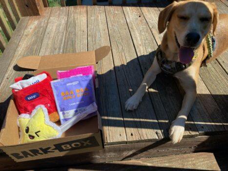 BarkBox September 2021 Review