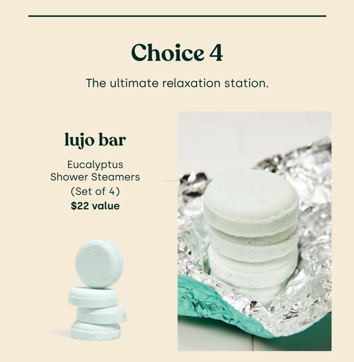 Lujo Bar Eucalyptus Shower Steamers