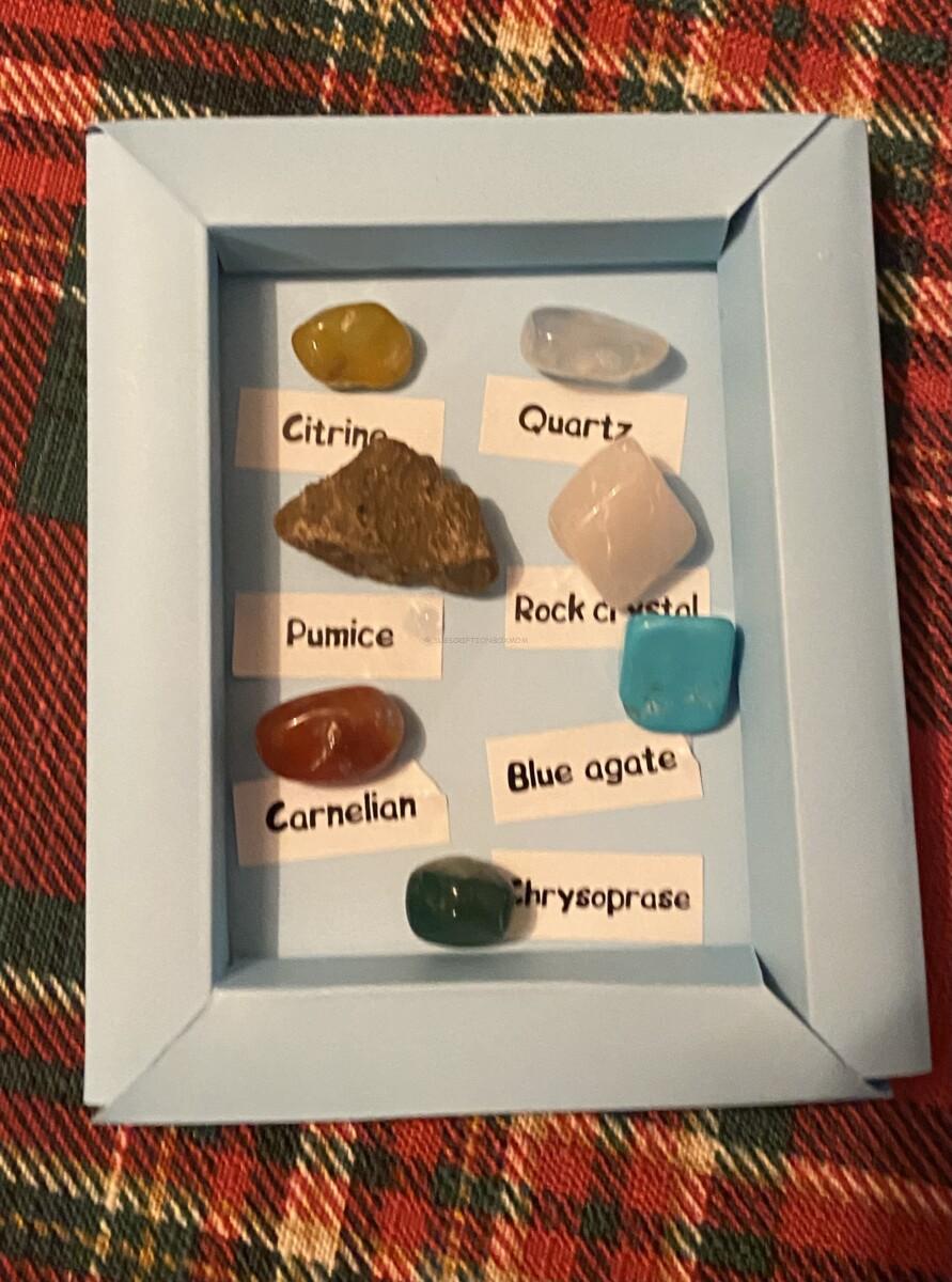 Oyster "Geologist" STEM Subscription Box Review 