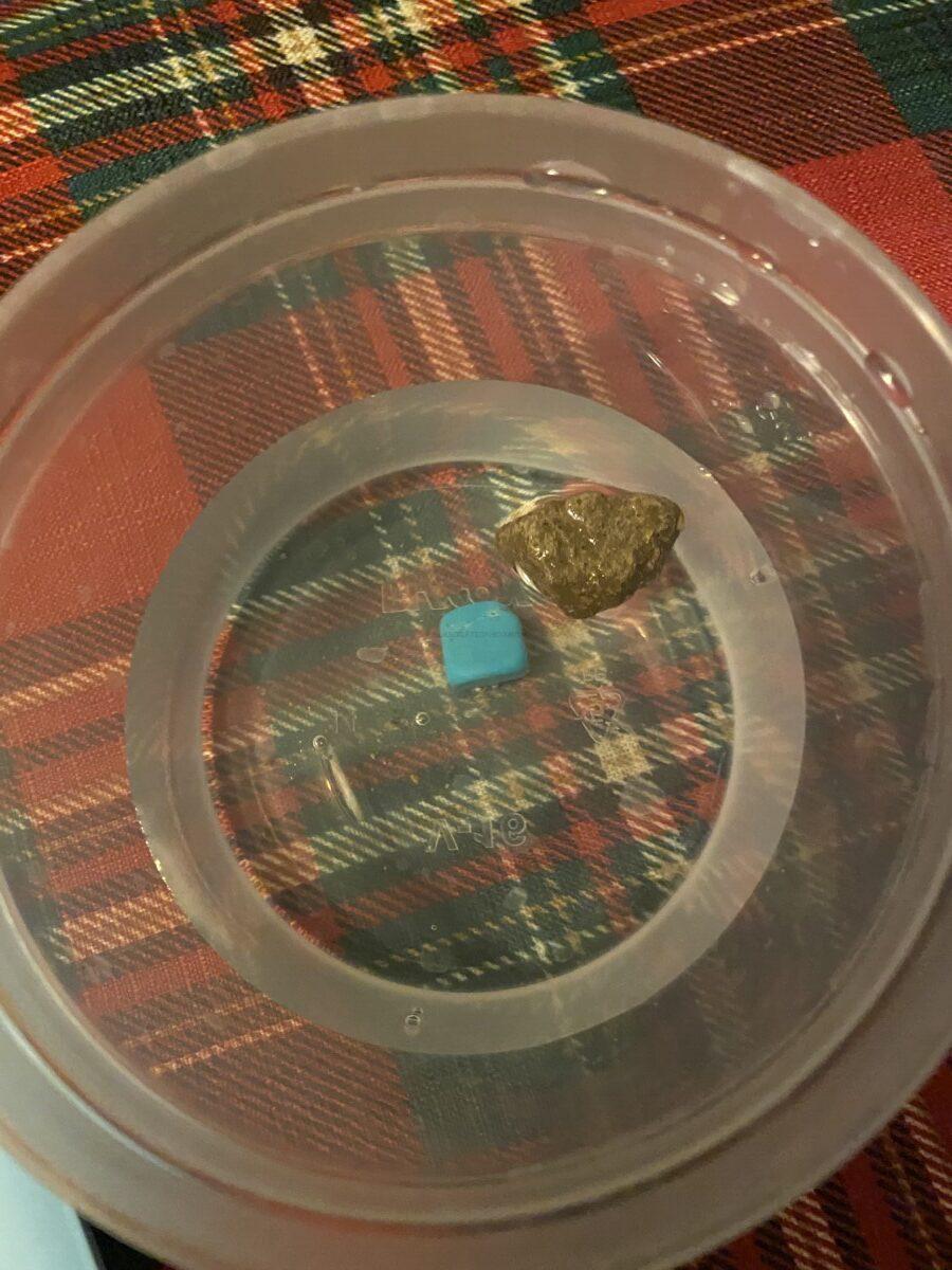 Oyster "Geologist" STEM Subscription Box Review