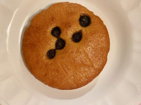 Corn Bread Blueberry Toaster Cakes