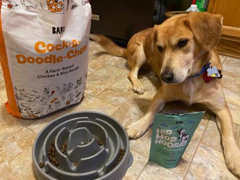 BARK FOOD September 2022 Review