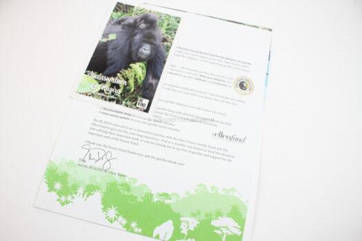 Dian Fossey Gorilla Fund - Gorilla Adoption 