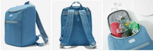 JuneShine Cooler Backpack in Solid & Printed - $60 Value