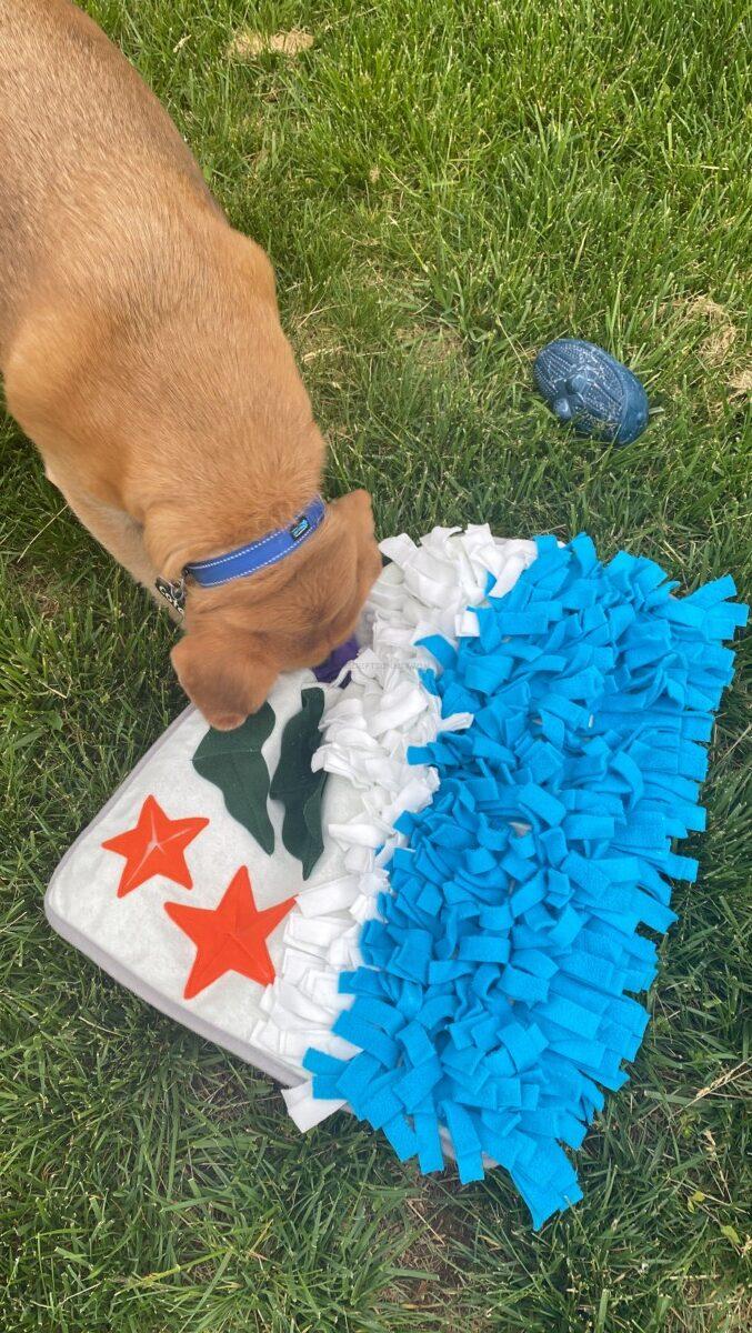 Beach Snuffle Mat