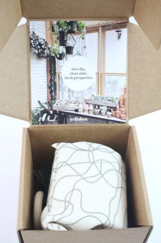 Vellabox April 2023 Candle Review