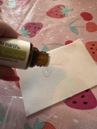 Lemon Lift Laundry Sheet