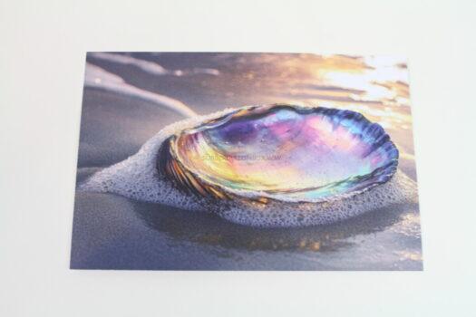 mintmongoose post card