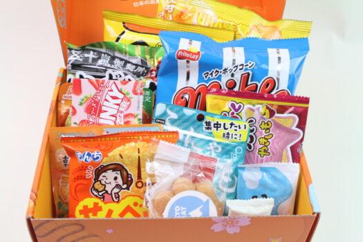 TokyoTreat November 2025 “Fuji Fall Snackscape” Review 